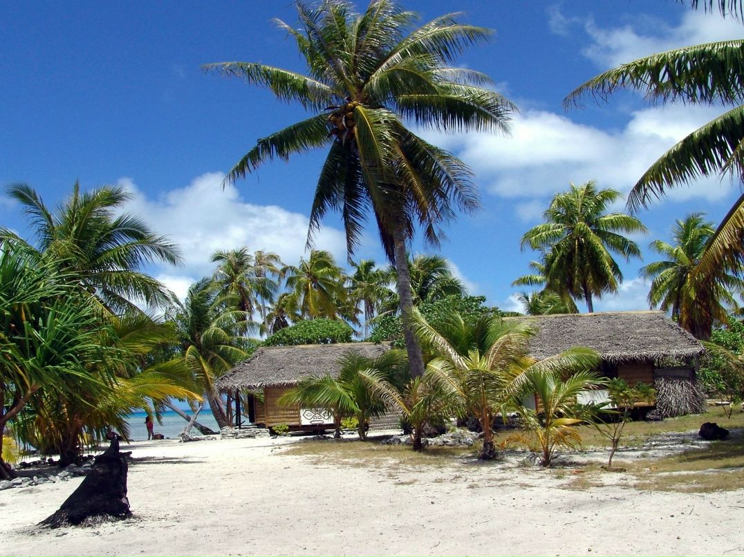 Вася Нестеров Солнце | Николаев