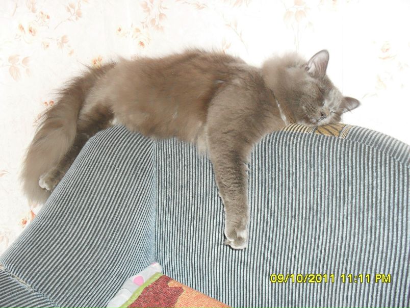 №139, Ксения Милоченко, 34 года, Rostock №139, Ксения Милоченко, 34 года, Rostock