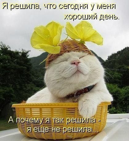 №69, Полина Редькина, 37 лет, Санкт-Петербург №69, Полина Редькина, 37 лет, Санкт-Петербург