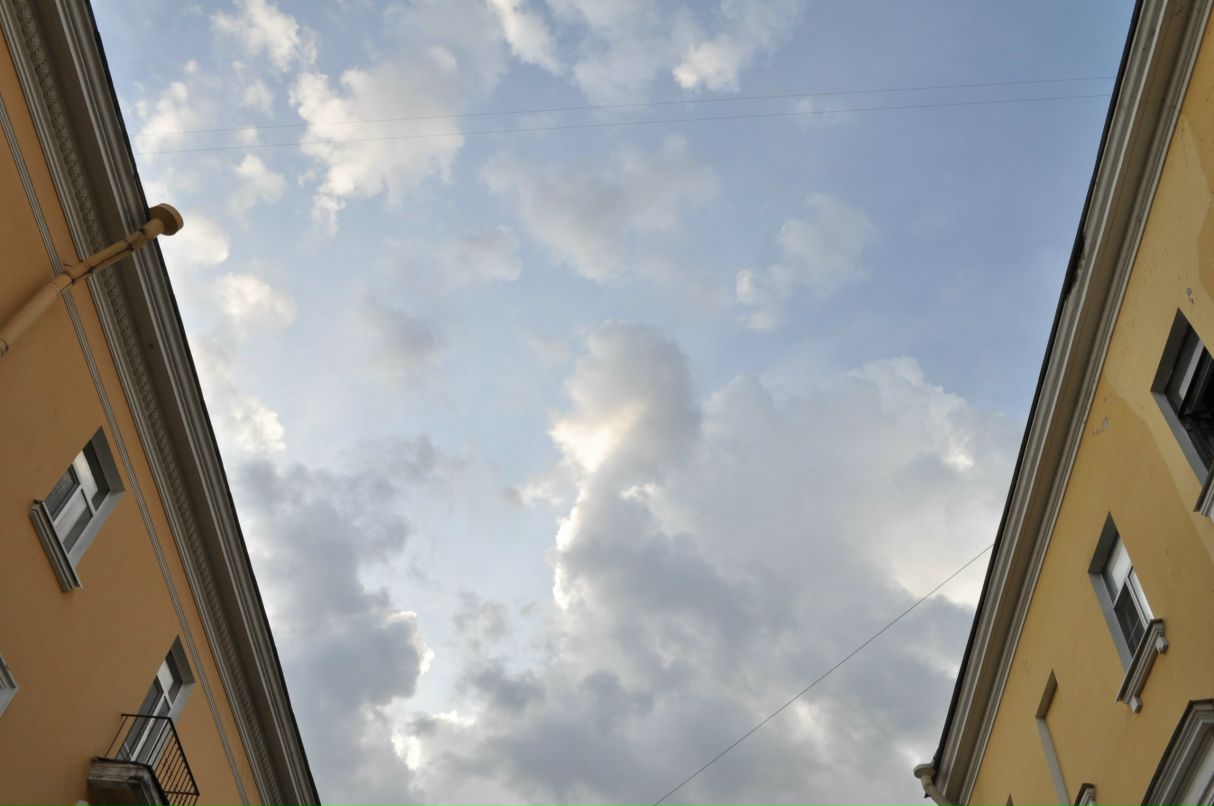 Александра Никитина | Санкт-Петербург