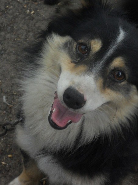 Ирина Сухомлинова-Юдина | Харьков