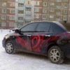 Аватар: Анастасия Шорыгина