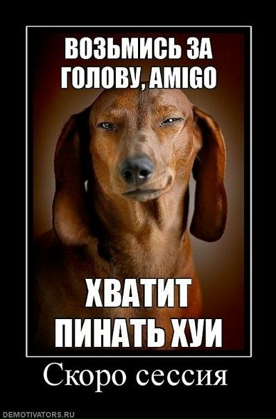 №44, Максим Гриник, 38 лет, Санкт-Петербург, Россия №44, Максим Гриник, 38 лет, Санкт-Петербург, Россия