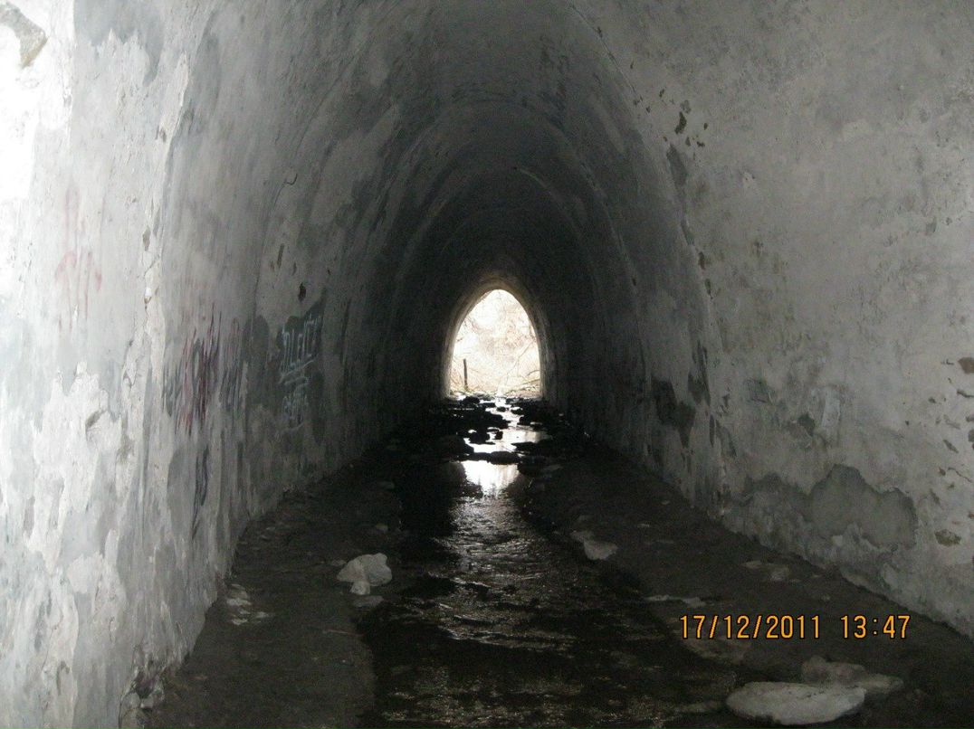 Славик Маньковськый | Днепр (Днепропетровск)