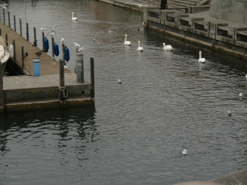 Оксана Милинькая | Санкт-Петербург