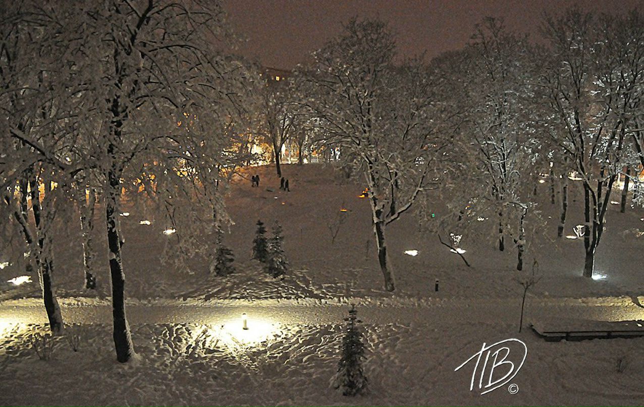 Вадим Владимирович | Киев