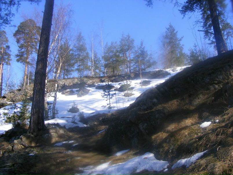 №187, Людмила Семейкина, 48 лет №187, Людмила Семейкина, 48 лет