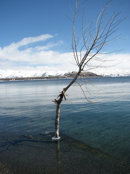 Полина Канбекова | Санкт-Петербург