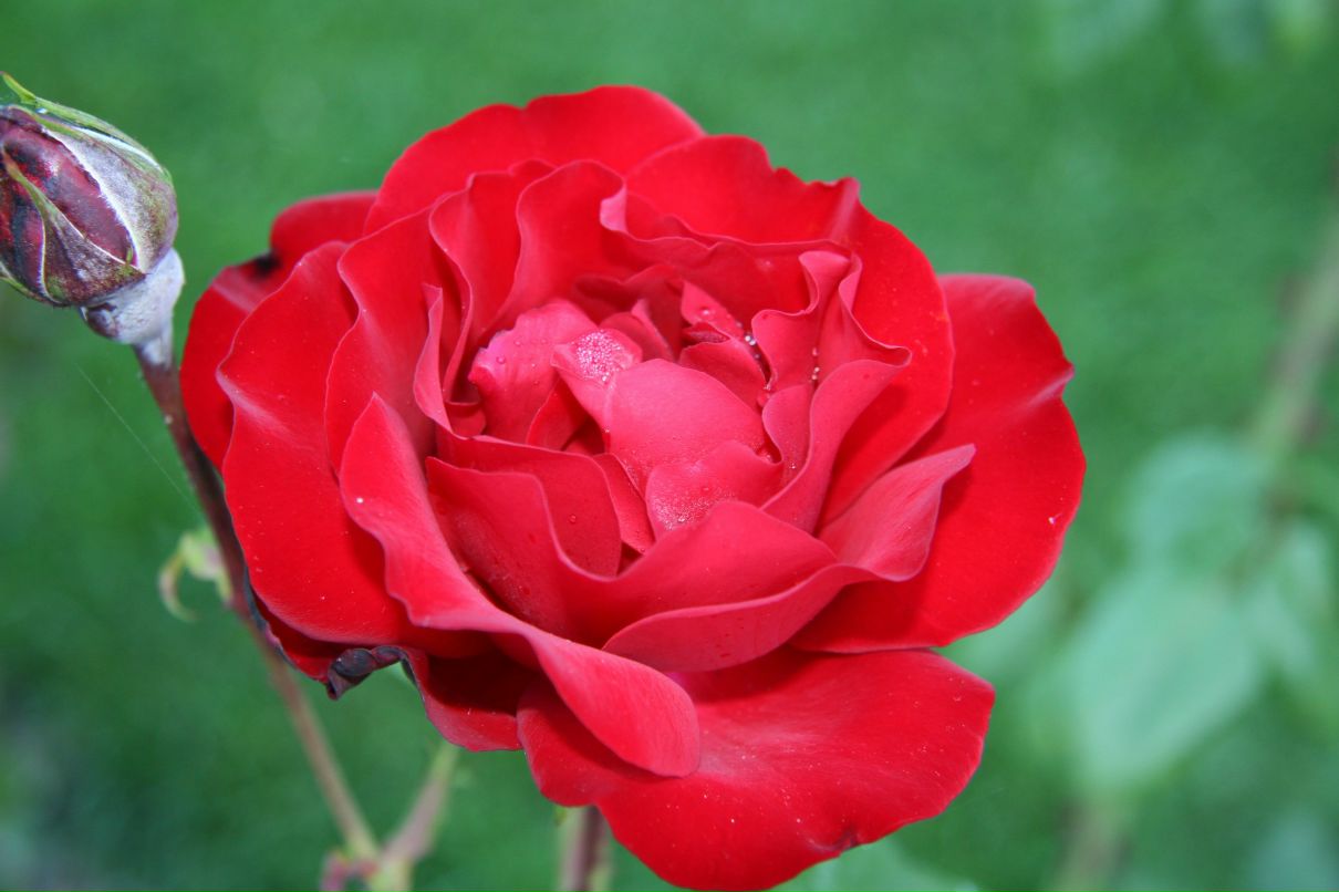 Юля Калимова | New York City