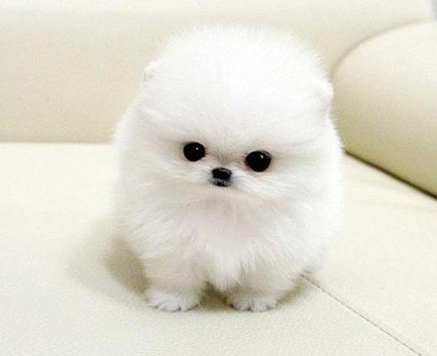 Наталя Продан | Львов