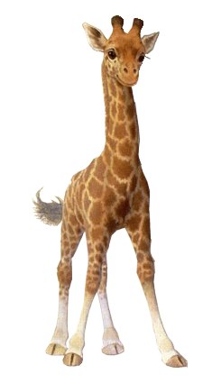 Виктория Колесова | Якутск