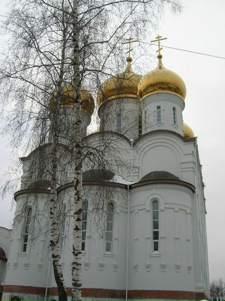 №19, Антон Кривчиков, Херсон №19, Антон Кривчиков, Херсон
