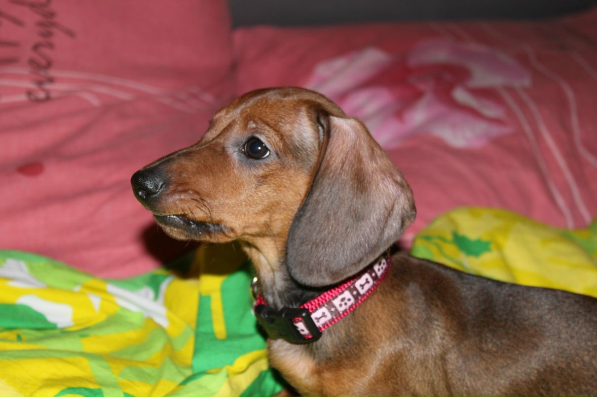 Татьяна Чеботаева | Санкт-Петербург