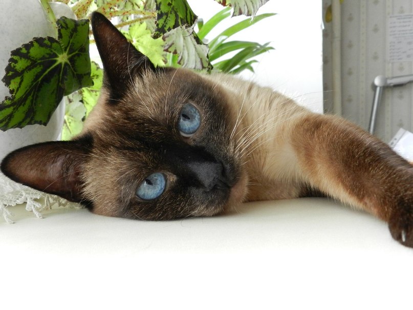 Ирина Бедрик | Сумы