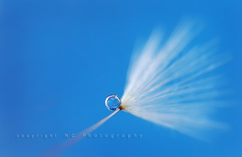 Екатерина Володащик | Мурманск