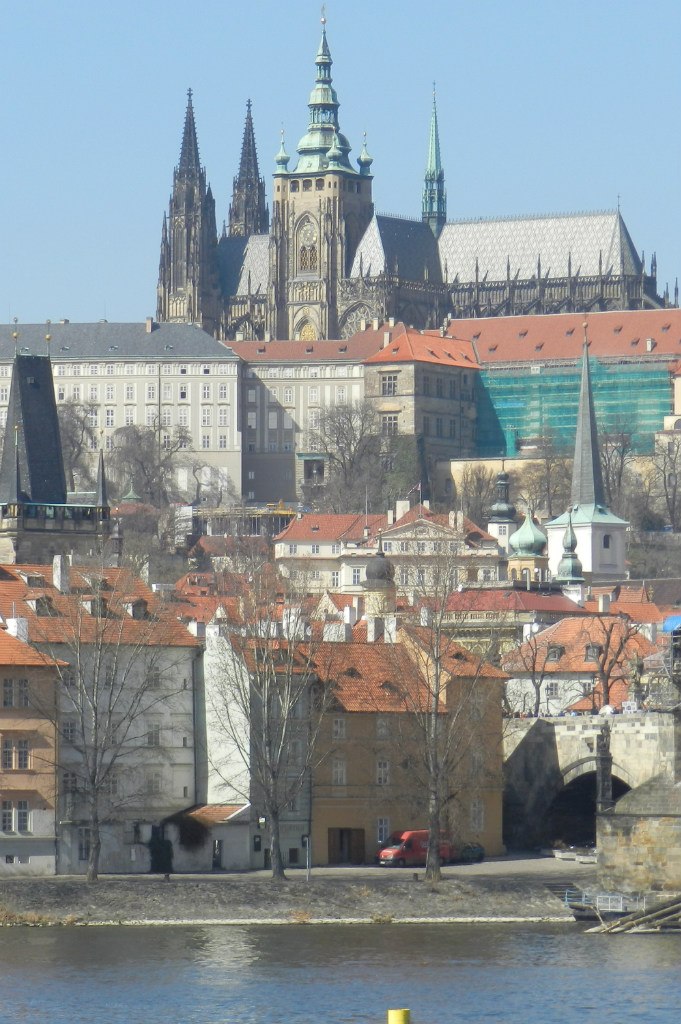 Денис Цицер | Волгоград