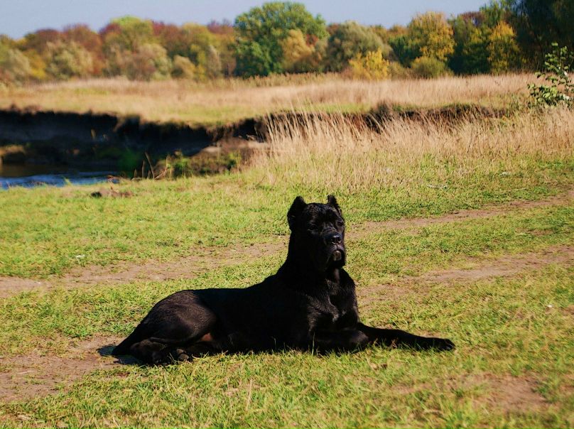 №146, Игорь Щербань, Токмак №146, Игорь Щербань, Токмак