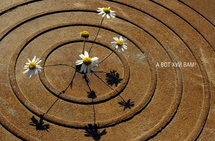 Мария Поливанная | Владивосток