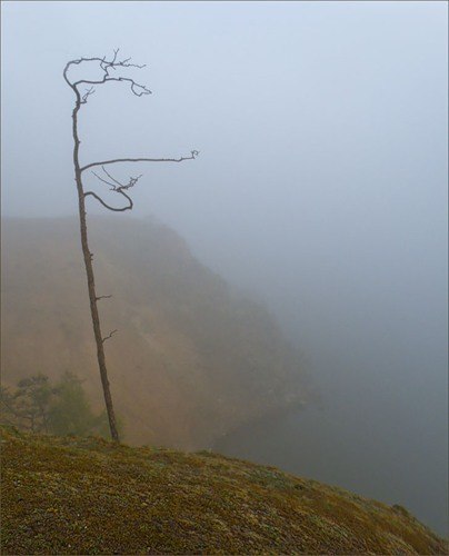 Алия Исмагилова | Санкт-Петербург