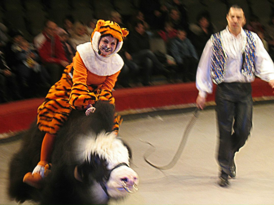 Венеция Пупкина МаСя | San Francisco