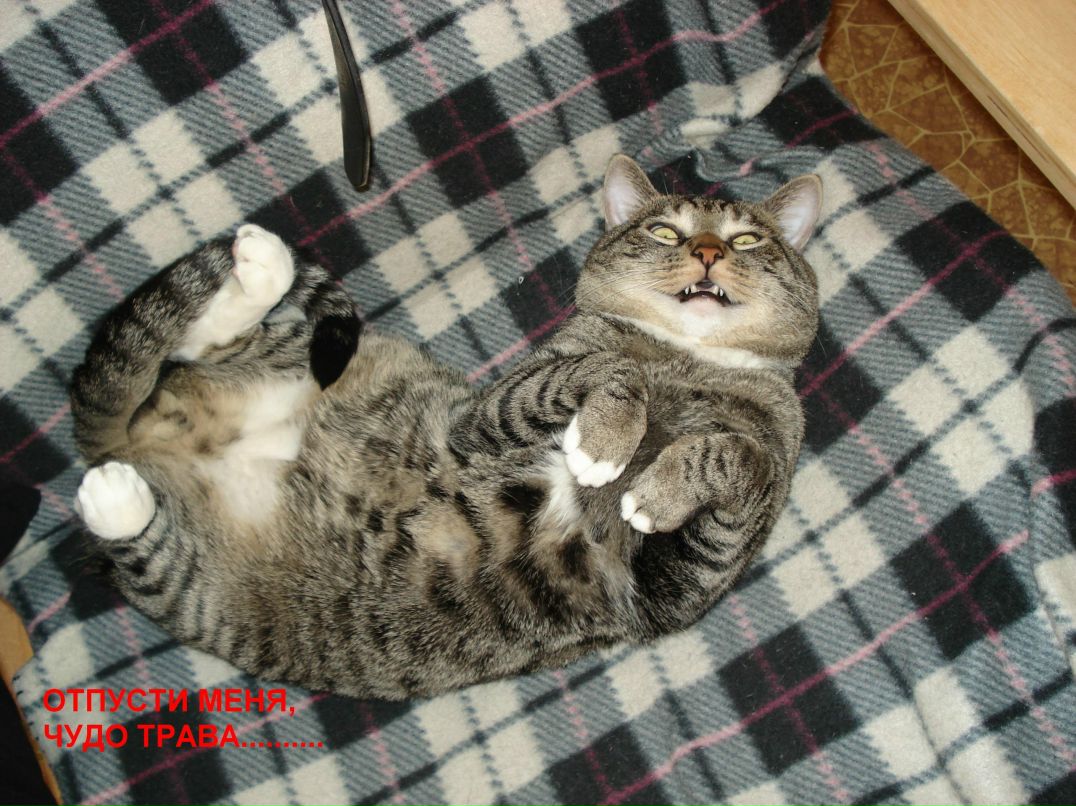 Igor Kolyma | Boston