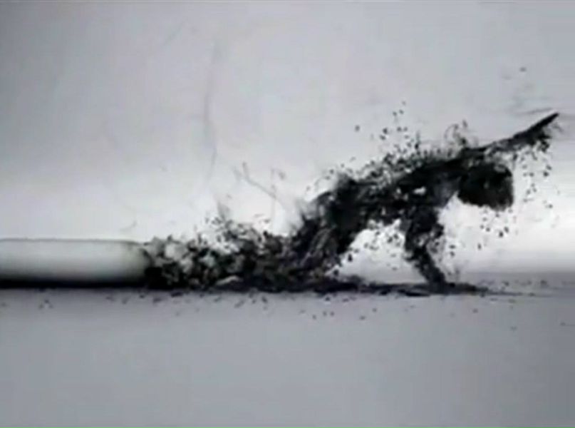 Дмитрий Кузнецов | Москва