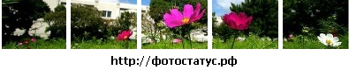 №59, Наталия Кулик, Кривой Рог №59, Наталия Кулик, Кривой Рог