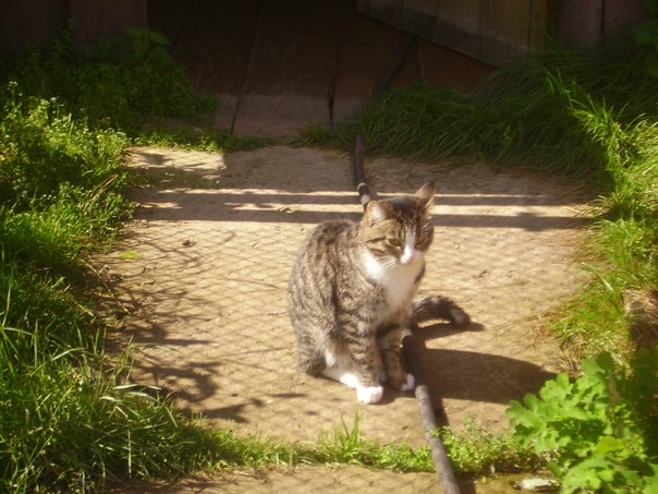 №45, Дарья Котыхова, 1.10 №45, Дарья Котыхова, 1.10