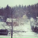 №38 Анна Черных : профиль, фото, статус - ВКонтакте