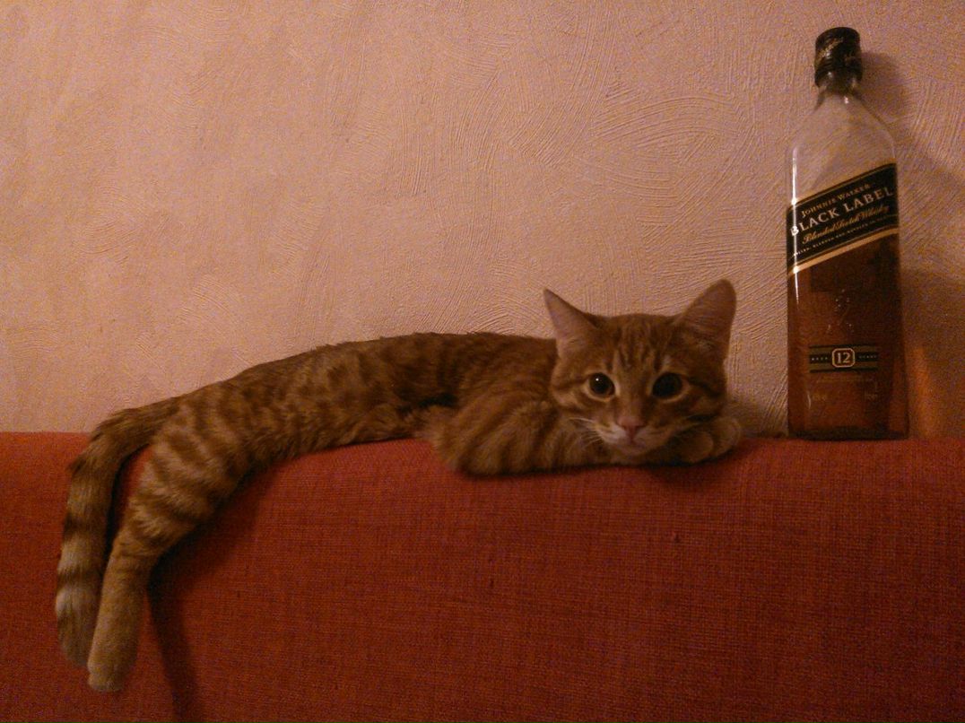 Gala Bourou | Москва