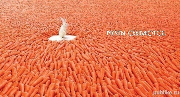 Виктор Криворучко | Киев