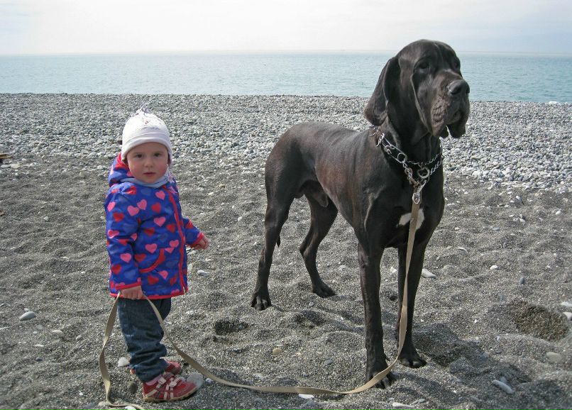 Владимир Бурмистров | Сочи