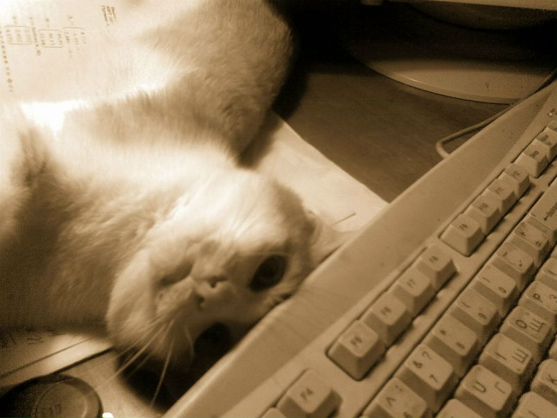 №93, Анна Морозова, 34 года, Петров Вал №93, Анна Морозова, 34 года, Петров Вал