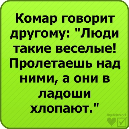 №122, Влада Львова, Мелитополь №122, Влада Львова, Мелитополь