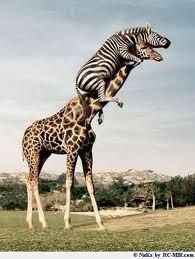 №9, Ольга Тарасова-Голуб, 38 лет, Москва, Россия №9, Ольга Тарасова-Голуб, 38 лет, Москва, Россия