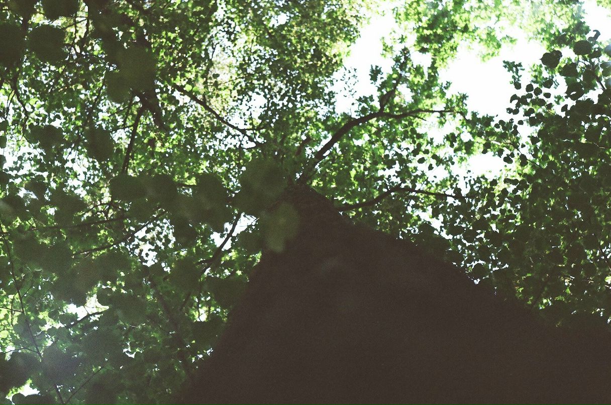 Павел Лавров | 