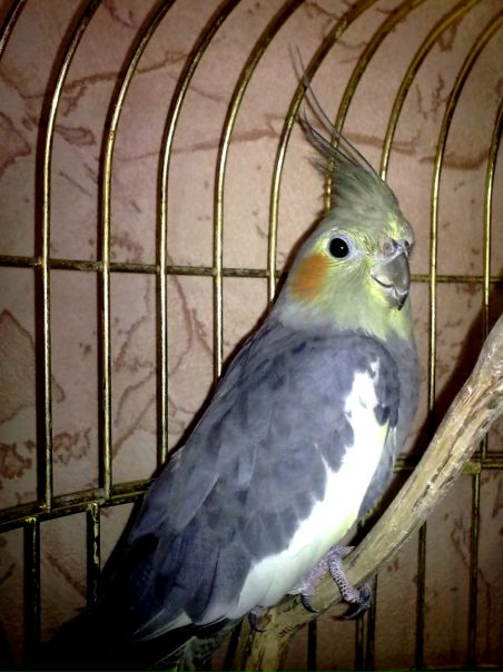 №95, Алеся Юркевич, 35 лет, Минск №95, Алеся Юркевич, 35 лет, Минск