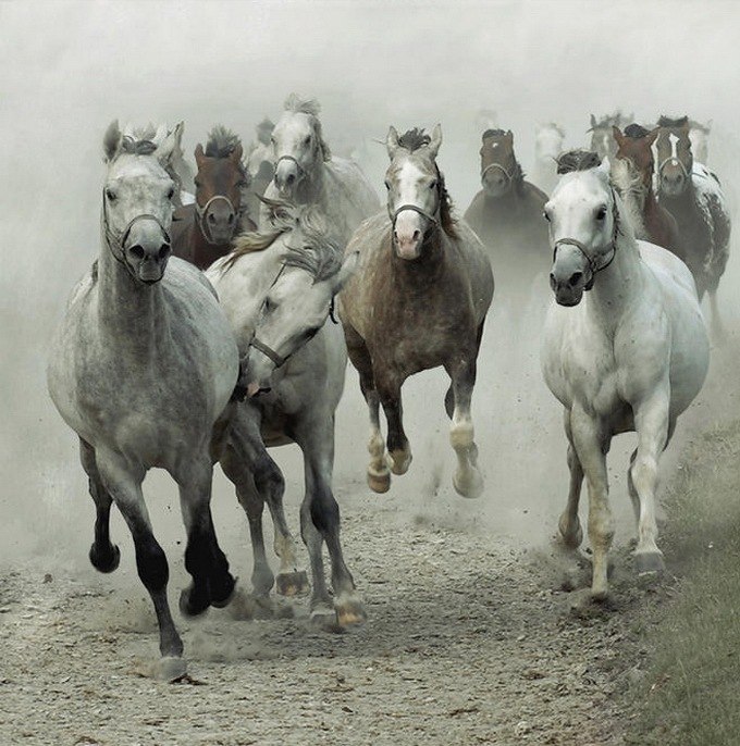 Гульназира Хасанова-Сагадатова *ღ Гөлнәзирә ღ* | Уфа