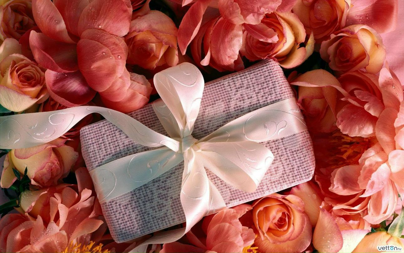 Никита Климовский | Северодвинск