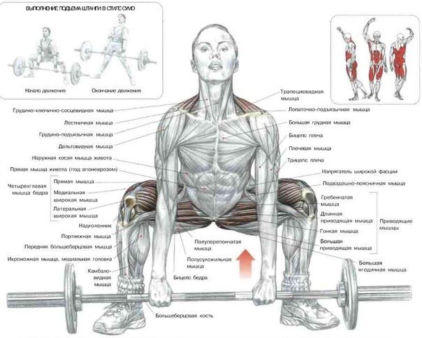 Василий Буравлев | Череповец