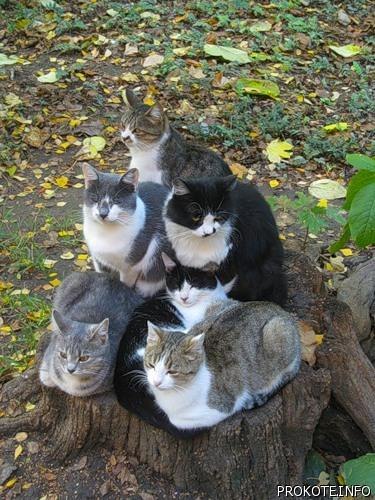 Дмитрий Леонтьев | Екатеринбург