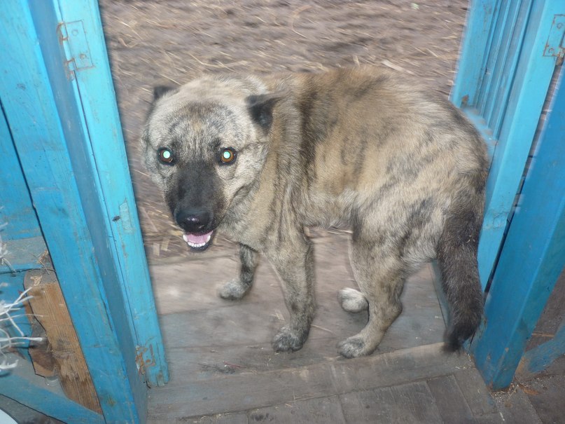 Иван Романов | Курск