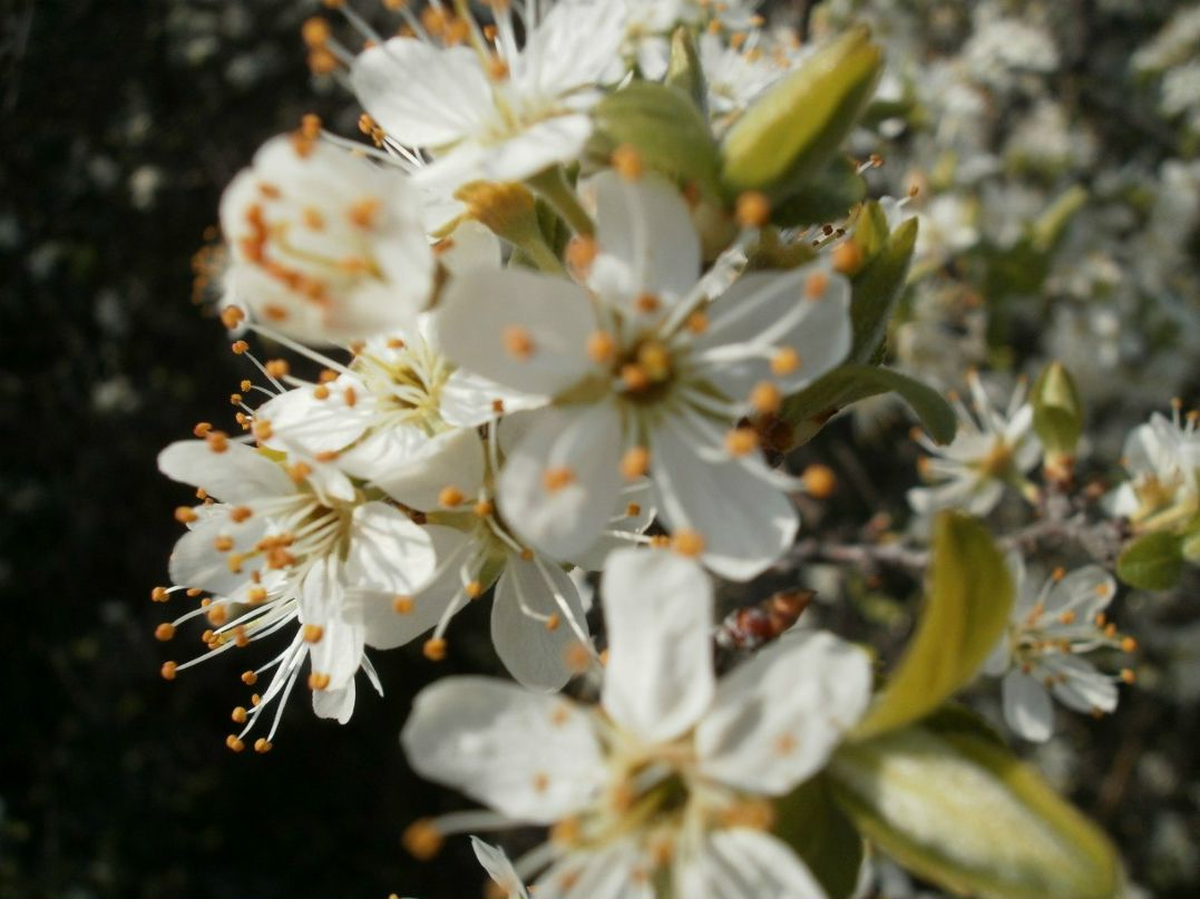 Юлия Белицкая | Донецк