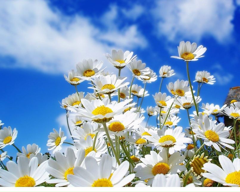 Айсулуша Жаксыгали -LADY LUNA- | Москва