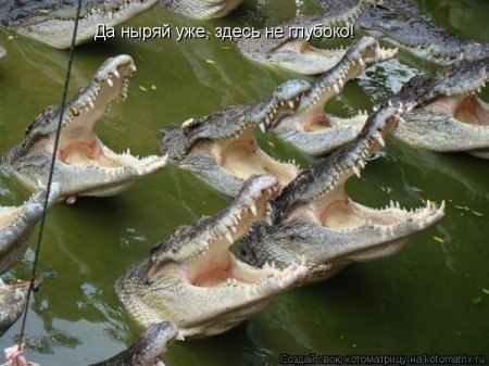 Сергей Смирнов | Йошкар-Ола