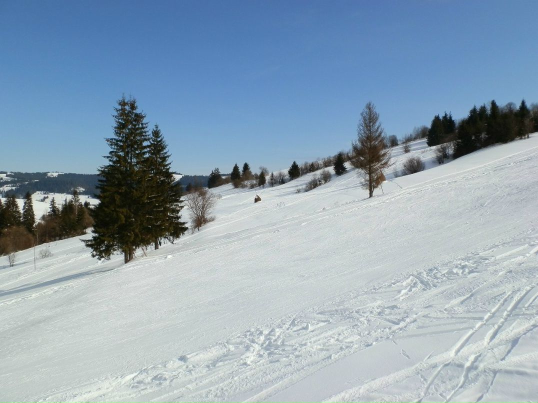 Илья Кулишко | Москва