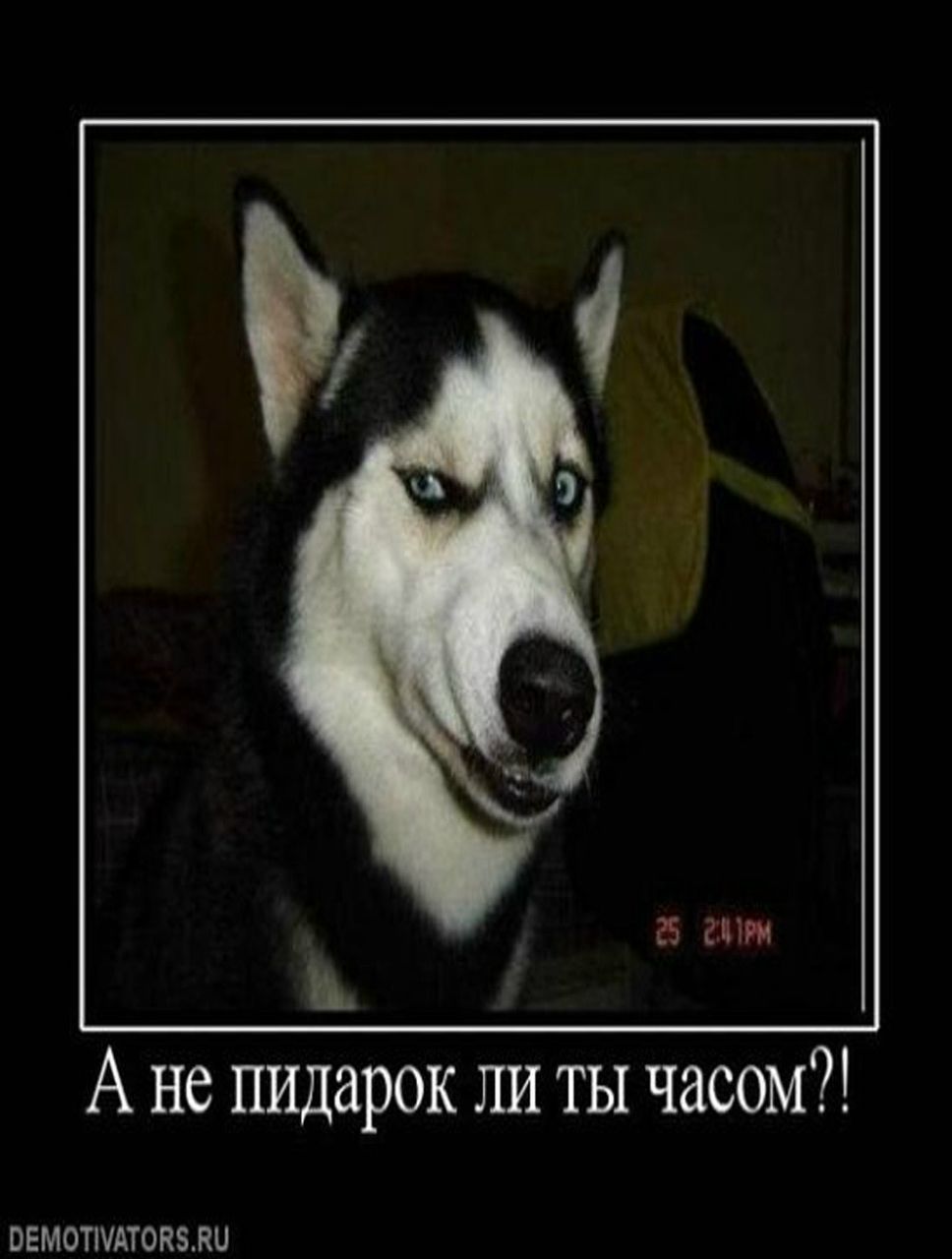 Сергей Хатов Hata | Бердичев