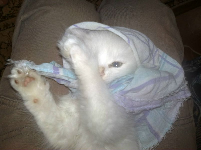 Кирилл Акимов | Пенза