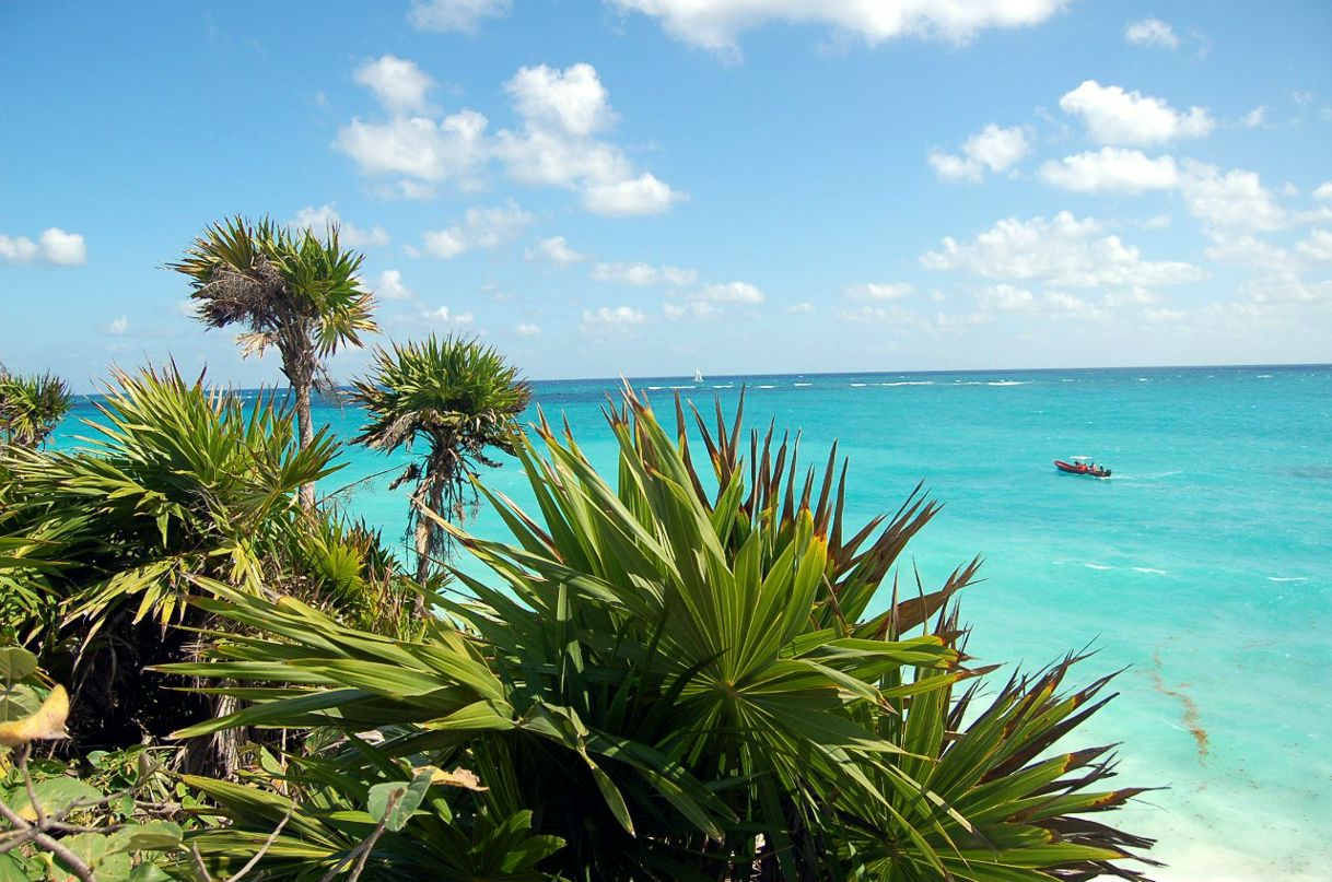 Мария Майгур | Тель-Авив