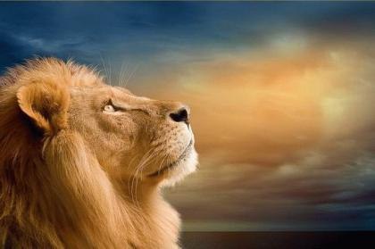 Юрий Третьяков Yur@N | Анапа